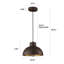 Luminaire suspendu simple 1 lumière