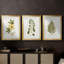 Nature Printed Botanicals douzième-257825203-257825215