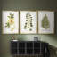 Nature Printed Botanicals douzième-257825203-257825215