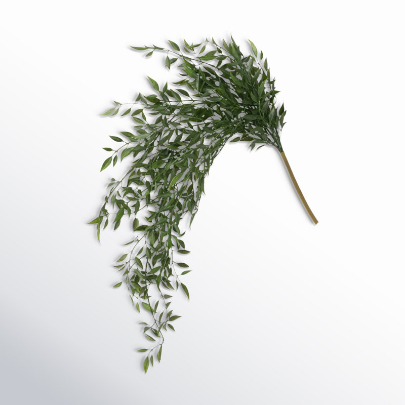Quiller Draping Ruscus Stems