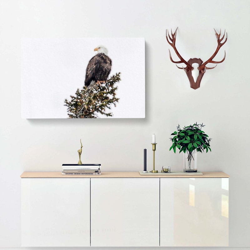 Bald Eagle High In A Tree - Wrapped Canvas Painting, 35cm H x 50cm W x 3cm D