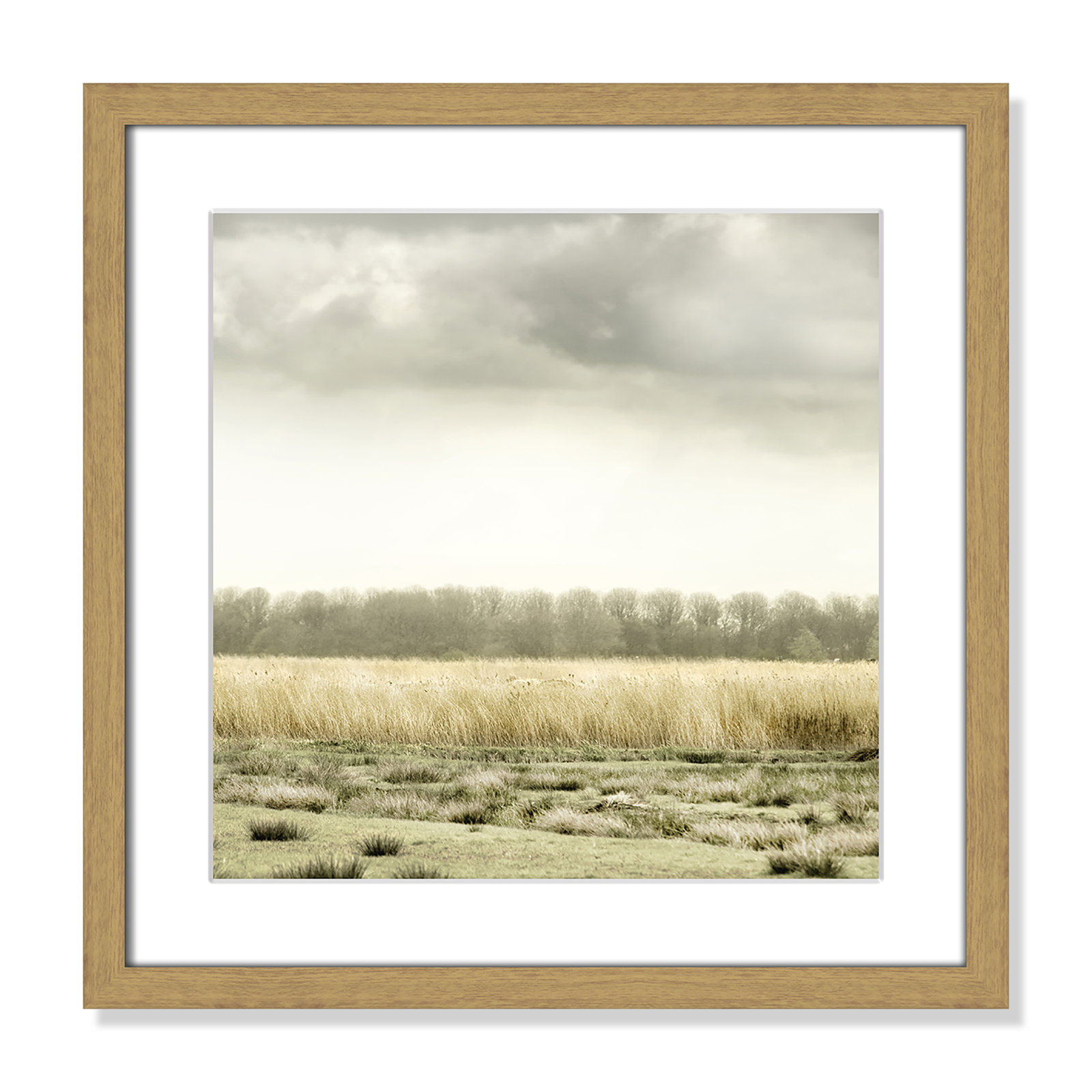 Henri "Meadowland" Print by Danita Delimont, 17" H x 17" W , Natural Wood Grain