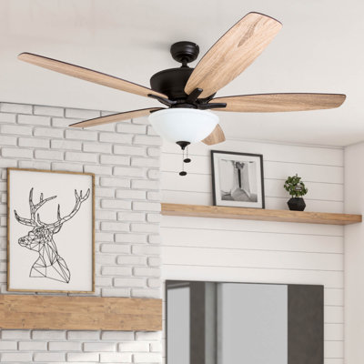 Speicher 60" Ceiling Fan with LED Light
