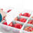 7.75" H x 10.75" W x 14.38" D Christmas 12 Piece Storage Set