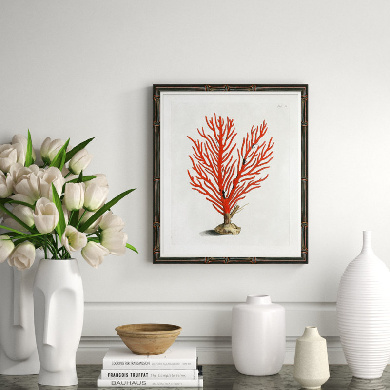 Red Coral Illustration VI Giclee Print by Soicher Marin Archives