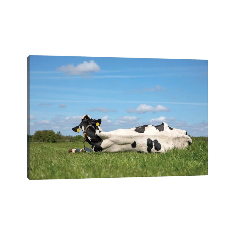 Seize The Day by Clara Bastian - Wrapped Canvas Print, 20.32 cm H x 30.48 cm W