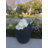 Karola Pot Planter-1267224138-1210281157