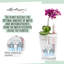 Deltini Pot Planter