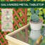 Armoire de rangement de jardin, remise pour outils d'extérieur / de patio avec dessus galvanisé et deux tablettes pour outils de jardin ou accessoires de piscine