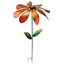 Piquet de jardin Turkay Daisy-846632215-846632212