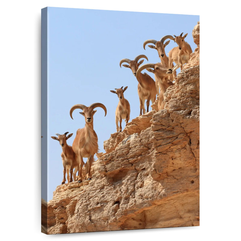 Brampt Goat Herd On Cliff, 36" H x 24" W