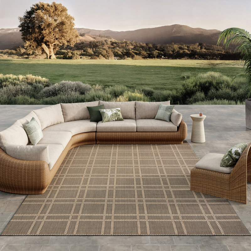 Alibay Plaid Indoor / Outdoor Area Rug, Rectangle 20'4" x 25'5"