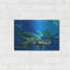 Art mural en métal Beachcrest Home ™ «Green Sea Turtles» par Durwood Coffey-1359731163