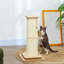 Cat Tree / Condo-1198480048