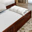 Lit de jour simple en bois massif avec lit gigogne Antavious Coastal Cottage-1837227886