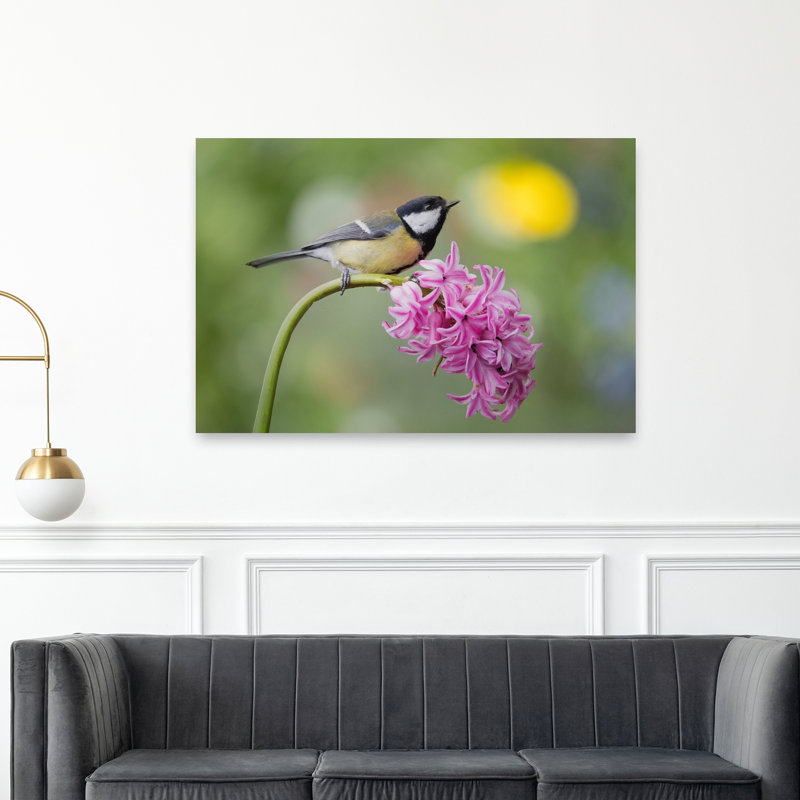 Mésange charbonnière sur jacinthe - Oiseau délicat et vibrant - Illustration murale nature, H 40 po x l 60 po