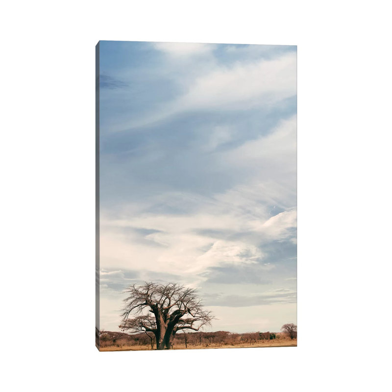 Naye Baobab V 1 Piece Wrapped Canvas Wall Art, 66.04 cm H x 45.72 cm W x 3.175 cm D