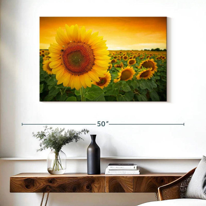 Tournesol Harnek, H 26 po x l 39 po