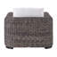 Montauk Outdoor Lounge Chair