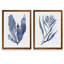 "Seaweed Under Water III" - ensemble de 2 reproductions d'art-1089807162-1161576867-1089807161