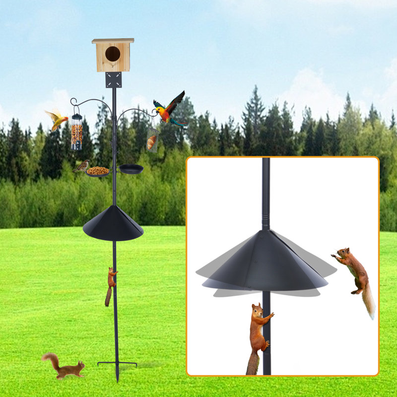 Mangeoire d'oiseaux décorative Zyrah