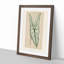 Heart of Jesus Leaf by Benjamin Fawcett - Picture Frame Painting Print-55763086-55763082