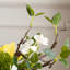 Ornements de fleurs simulées