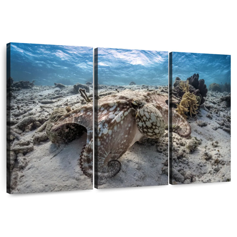 Brampt Stealthy Octopus, 28" H x 45" W