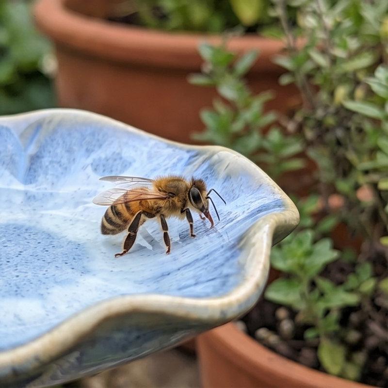 Abreuvoir à pollinisateur en céramique émaillée avec piquet jardin d'insectes floraux, vert, E