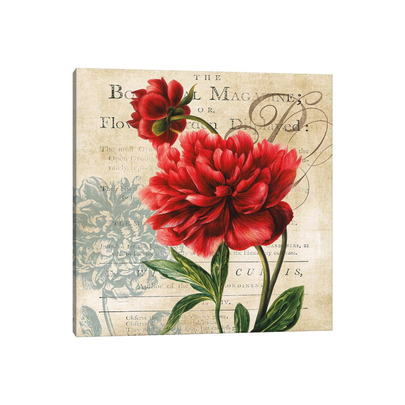 The Botanical Magazine by Carol Robinson - Print on Canvas, Wrapped Canvas, 66.04 cm H x 66.04 cm W x 3.175 cm D