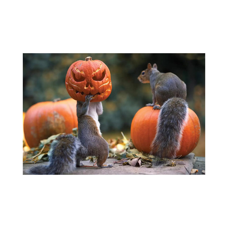 The Pumpkin Shot Copy by Max Ellis - Wrapped Canvas Print, 66.04 cm H x 45.72 cm W x 3.175 cm D