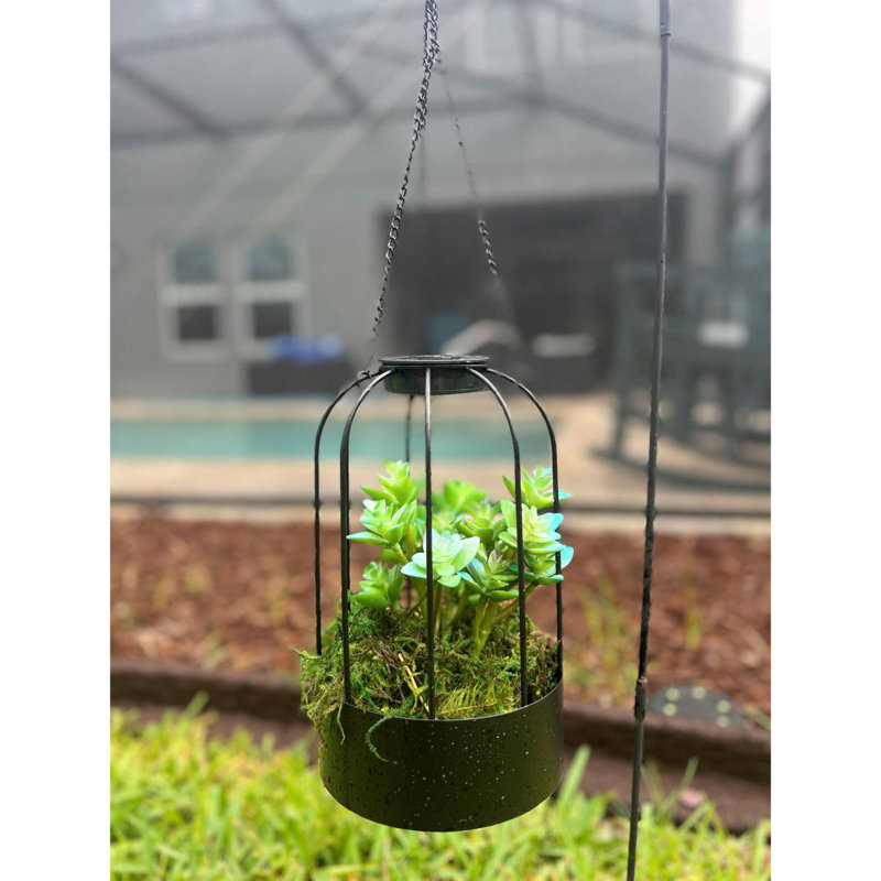 Solar Plant Lantern, Black