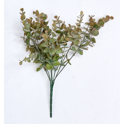 Choix d'eucalyptus