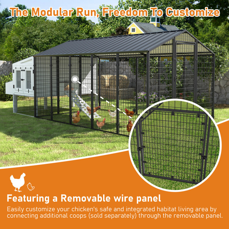 Poulailler de 10,6 pi x 6,2 pi avec toit en métal galvanisé avec espace d'activité pour au moins 15 poulets