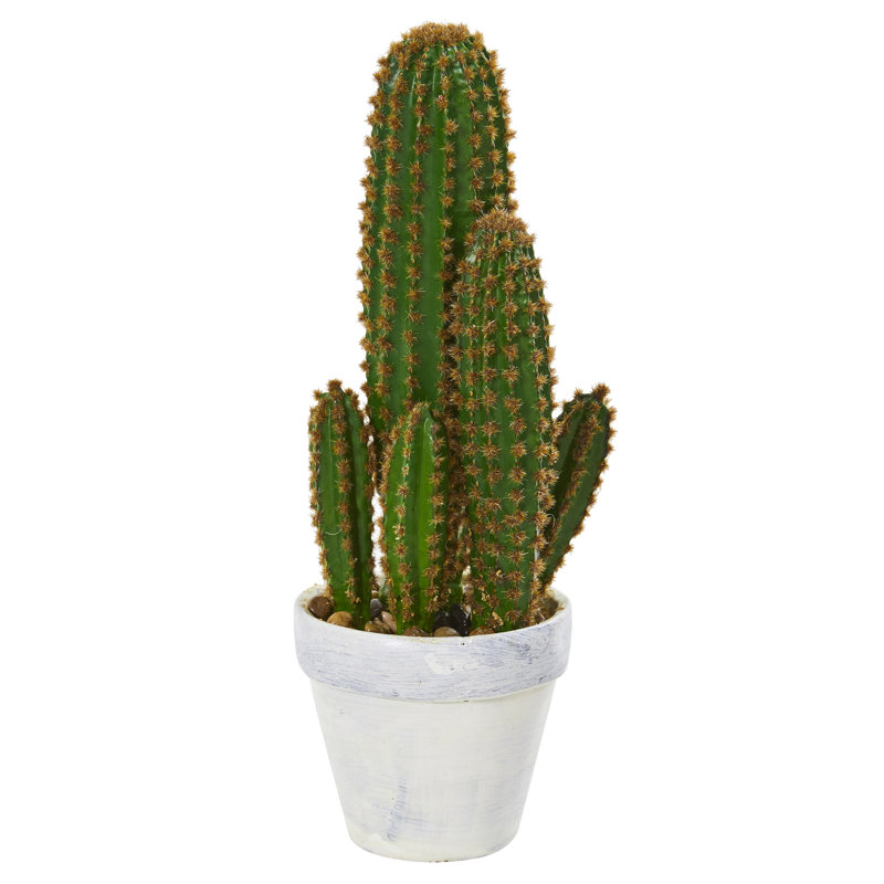 18'' Faux Cactus Plant in Planter
