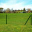Green Wire/Mesh Fence-20842254-94539361
