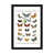 Black Framed Paper n'est pas disponible
