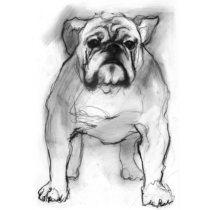 Study Of A Dog I Print by Emma Brooks, Matte, 16" H x 14" W x 1.5 D