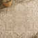 Danya Cream/Beige Indoor/Outdoor Area Rug