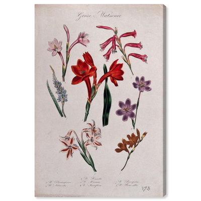 Art Remedy, impressions sur toile, sept plantes