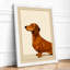 Dachshund in Profile Minimalist - Framed Print-706982099-706982104