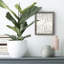 Devonae, arrangement vertical I, reproduction d'art sur toile-64361059-54649708-54649697