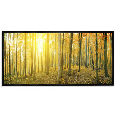 Lever de soleil sur un paysage de forêt panoramique - photographie sur toile