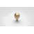 Brushed Brass