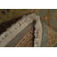 Tapis antique Ziegler 2 x 3 aux tons neutres et au design intemporel