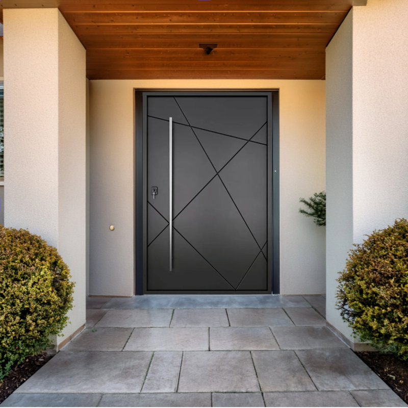 Caliber Modern Iron Pivot Door