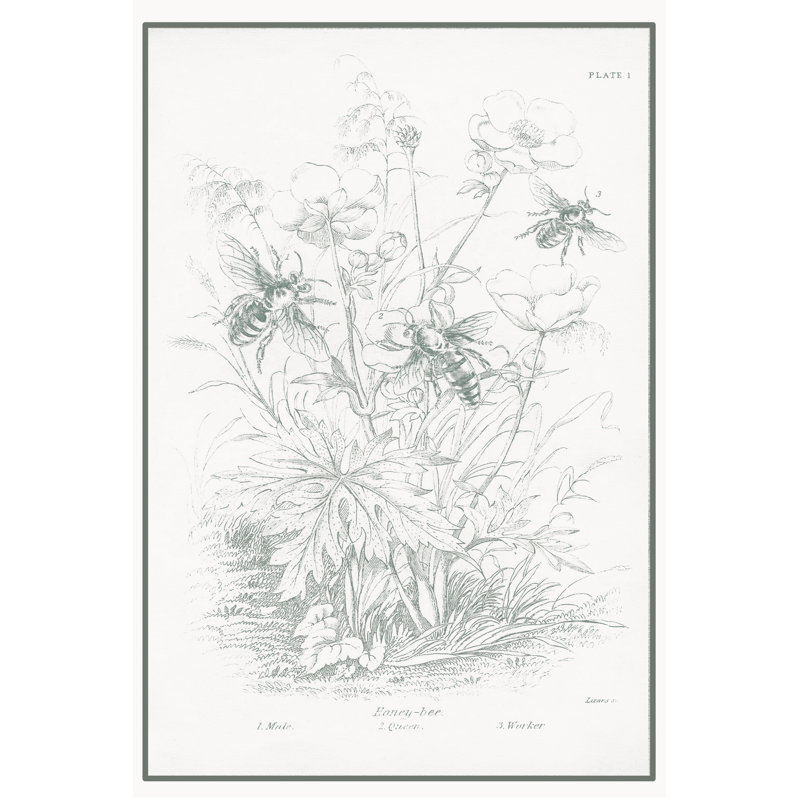Honey Bees - Wrapped Canvas Print, 122cm H x 81cm W x 3.8cm D