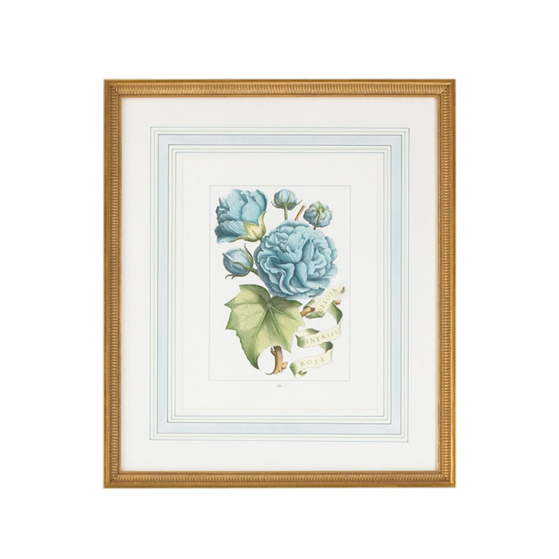 «Blue Floral with Ribbon B», cadre photo
