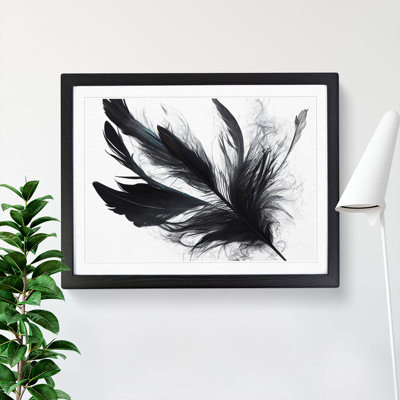Sumptuous Bird Feathers - Single Picture Frame Print