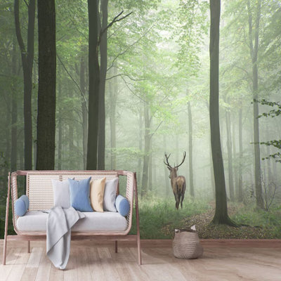 Forest Majesty With A Visitor